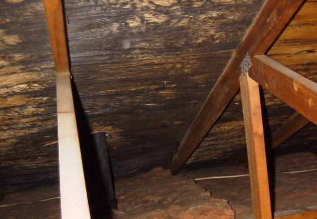 Vishey Home Inspection - Actual Attic on House Found During Inspection